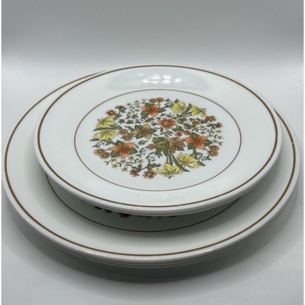 Vintage Corelle Corning Indian Summer 7 Piece Plate Set |  3 Luncheon 4 Dinner